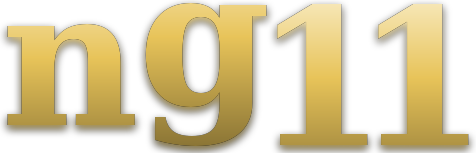 ng11 logo